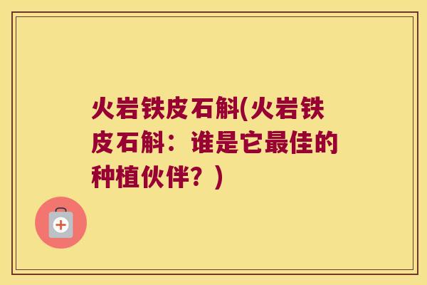 火岩铁皮石斛(火岩铁皮石斛：谁是它最佳的种植伙伴？)