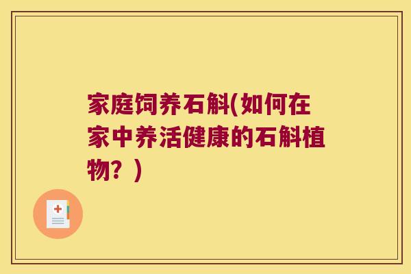 家庭饲养石斛(如何在家中养活健康的石斛植物？)