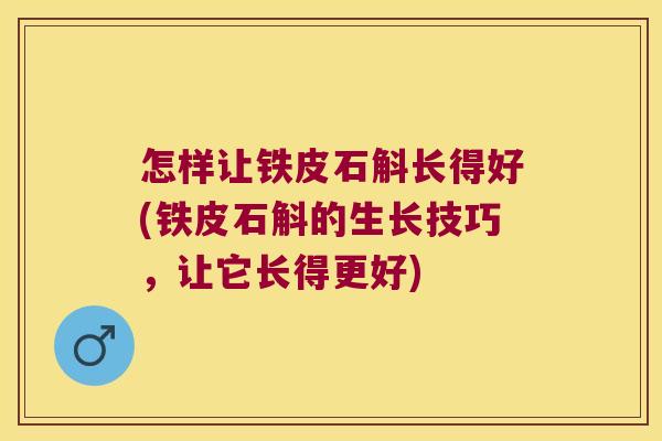 怎样让铁皮石斛长得好(铁皮石斛的生长技巧，让它长得更好)