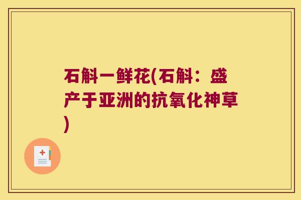 石斛一鲜花(石斛：盛产于亚洲的抗氧化神草)