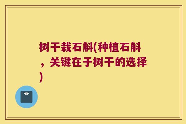 树干栽石斛(种植石斛，关键在于树干的选择)