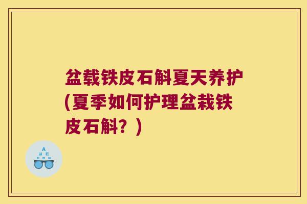 盆载铁皮石斛夏天养护(夏季如何护理盆栽铁皮石斛?) 盆载铁皮石斛夏天养护(夏季如何护理盆栽铁皮石斛?)