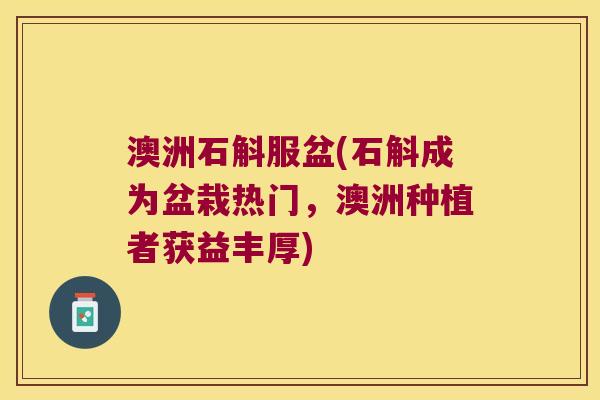 澳洲石斛服盆(石斛成为盆栽热门，澳洲种植者获益丰厚)