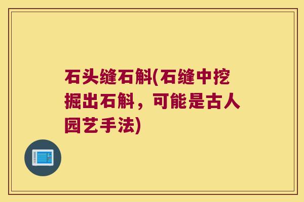 石头缝石斛(石缝中挖掘出石斛,可能是古人园艺手法) 石头缝石斛(石缝中挖掘出石斛,可能是古人园艺手法)