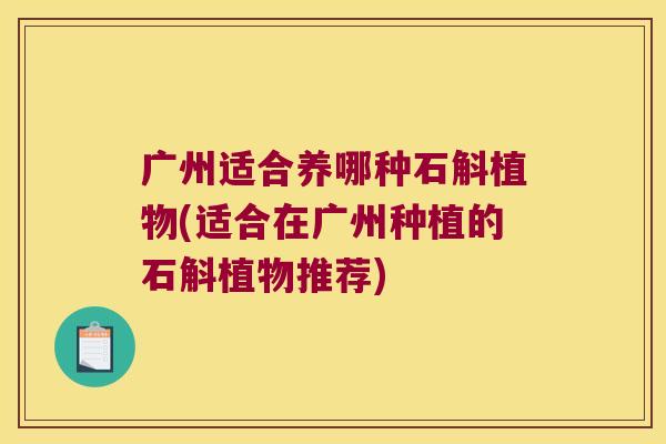 广州适合养哪种石斛植物(适合在广州种植的石斛植物推荐)