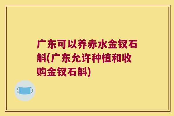 广东可以养赤水金钗石斛(广东允许种植和收购金钗石斛)