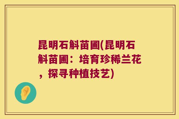 昆明石斛苗圃(昆明石斛苗圃：培育珍稀兰花，探寻种植技艺)