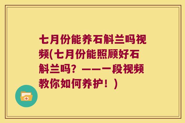 七月份能养石斛兰吗视频(七月份能照顾好石斛兰吗？——一段视频教你如何养护！)