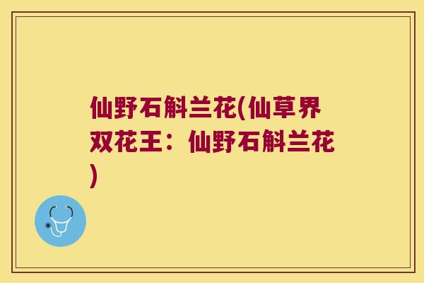 仙野石斛兰花(仙草界双花王：仙野石斛兰花)