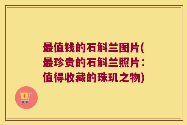 最值钱的石斛兰图片(最珍贵的石斛兰照片：值得收藏的珠玑之物)
