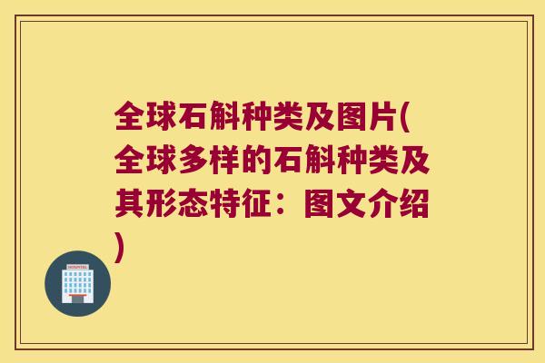 全球石斛种类及图片(全球多样的石斛种类及其形态特征：图文介绍)