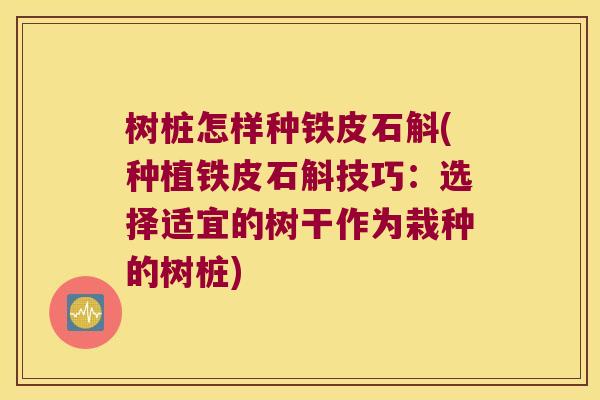 树桩怎样种铁皮石斛(种植铁皮石斛技巧：选择适宜的树干作为栽种的树桩)