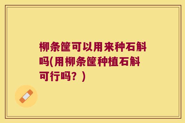 柳条筐可以用来种石斛吗(用柳条筐种植石斛可行吗?) 柳条筐可以用来种石斛吗(用柳条筐种植石斛可行吗?)