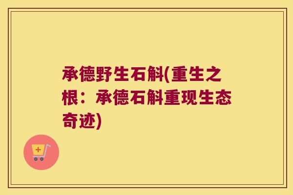 承德野生石斛(重生之根：承德石斛重现生态奇迹)
