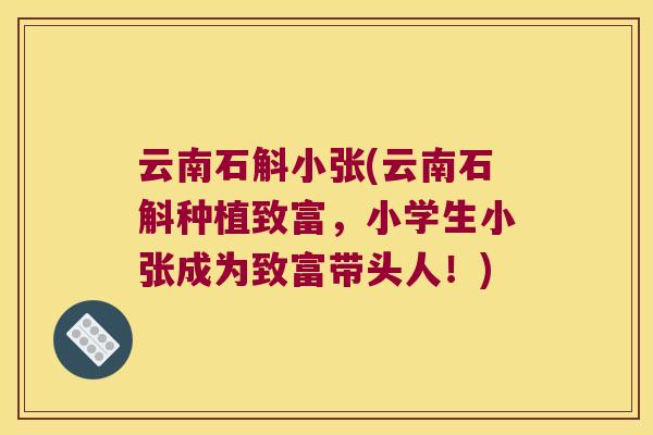 云南石斛小张(云南石斛种植致富，小学生小张成为致富带头人！)
