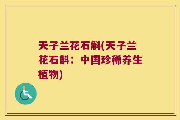 天子兰花石斛(天子兰花石斛：中国珍稀养生植物)