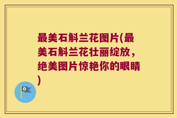最美石斛兰花图片(最美石斛兰花壮丽绽放，绝美图片惊艳你的眼睛)