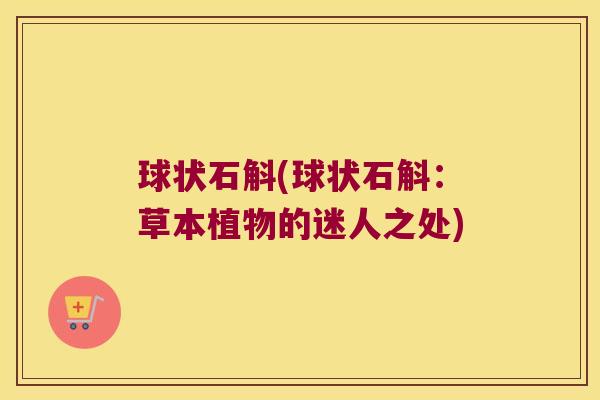 球状石斛(球状石斛：草本植物的迷人之处)