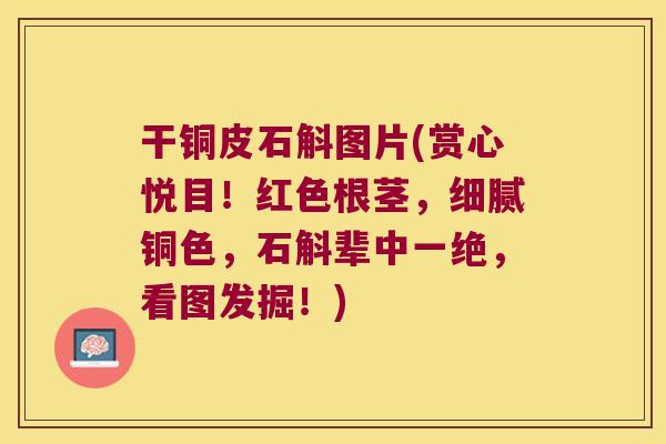 干铜皮石斛图片(赏心悦目！红色根茎，细腻铜色，石斛辈中一绝，看图发掘！)