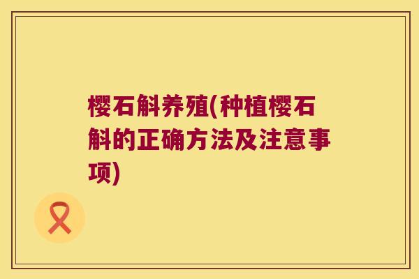 樱石斛养殖(种植樱石斛的正确方法及注意事项)