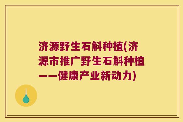济源野生石斛种植(济源市推广野生石斛种植——健康产业新动力)