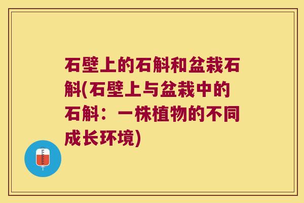 石壁上的石斛和盆栽石斛(石壁上与盆栽中的石斛：一株植物的不同成长环境)