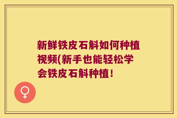 新鲜铁皮石斛如何种植视频(新手也能轻松学会铁皮石斛种植! 新鲜铁皮石斛如何种植视频(新手也能轻松学会铁皮石斛种植!