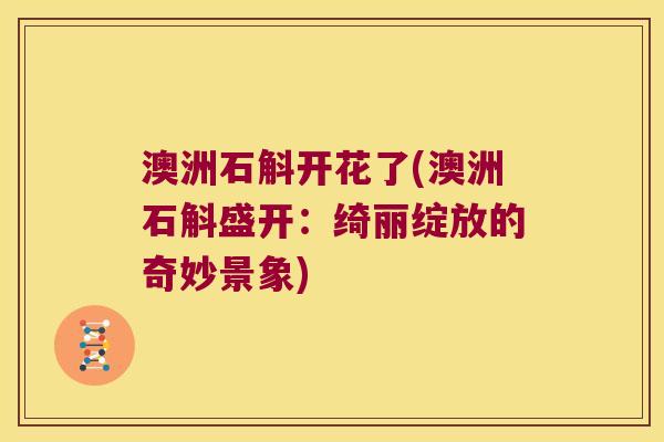 澳洲石斛开花了(澳洲石斛盛开：绮丽绽放的奇妙景象)