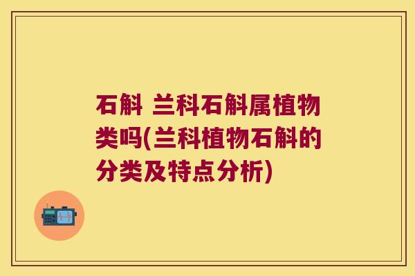 石斛 兰科石斛属植物类吗(兰科植物石斛的分类及特点分析)