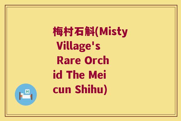 梅村石斛(Misty Village's Rare Orchid The Meicun Shihu)