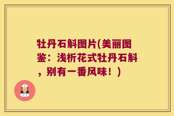 牡丹石斛图片(美丽图鉴：浅析花式牡丹石斛，别有一番风味！)