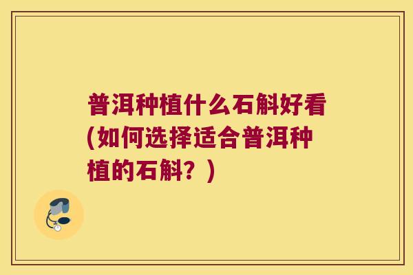 普洱种植什么石斛好看(如何选择适合普洱种植的石斛？)