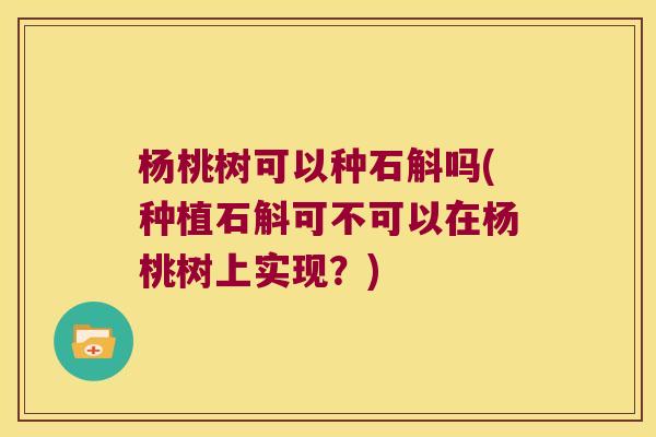 杨桃树可以种石斛吗(种植石斛可不可以在杨桃树上实现？)