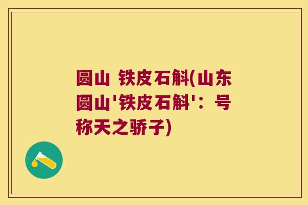 圆山 铁皮石斛(山东圆山'铁皮石斛'：号称天之骄子)