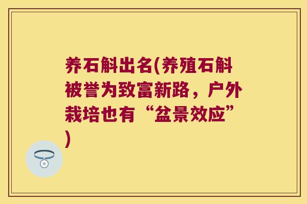 养石斛出名(养殖石斛被誉为致富新路，户外栽培也有“盆景效应”)