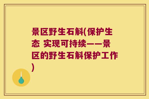 景区野生石斛(保护生态 实现可持续——景区的野生石斛保护工作) 景区野生石斛(保护生态 实现可持续——景区的野生石斛保护工作)