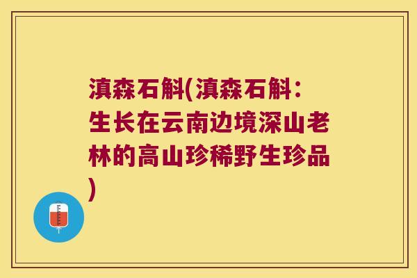 滇森石斛(滇森石斛:生长在云南边境深山老林的高山珍稀野生珍品) 滇森石斛(滇森石斛:生长在云南边境深山老林的高山珍稀野生珍品)