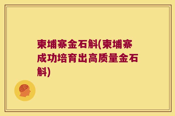 柬埔寨金石斛(柬埔寨成功培育出高质量金石斛)