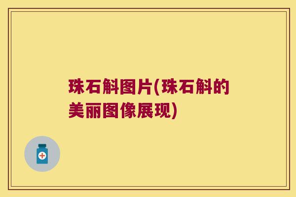 珠石斛图片(珠石斛的美丽图像展现)