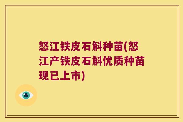 怒江铁皮石斛种苗(怒江产铁皮石斛优质种苗现已上市)