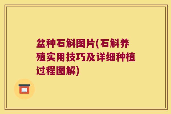 盆种石斛图片(石斛养殖实用技巧及详细种植过程图解)