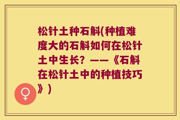 松针土种石斛(种植难度大的石斛如何在松针土中生长？——《石斛在松针土中的种植技巧》)