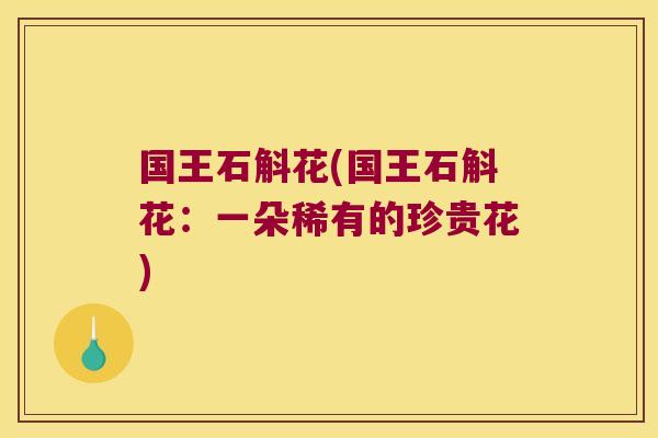 国王石斛花(国王石斛花：一朵稀有的珍贵花)