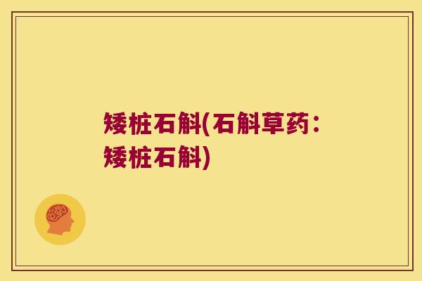 矮桩石斛(石斛草药：矮桩石斛)