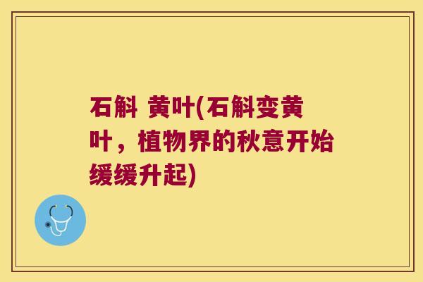 石斛 黄叶(石斛变黄叶,植物界的秋意开始缓缓升起) 石斛 黄叶(石斛变黄叶,植物界的秋意开始缓缓升起)