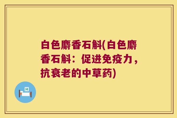白色麝香石斛(白色麝香石斛：促进免疫力，抗衰老的中草药)