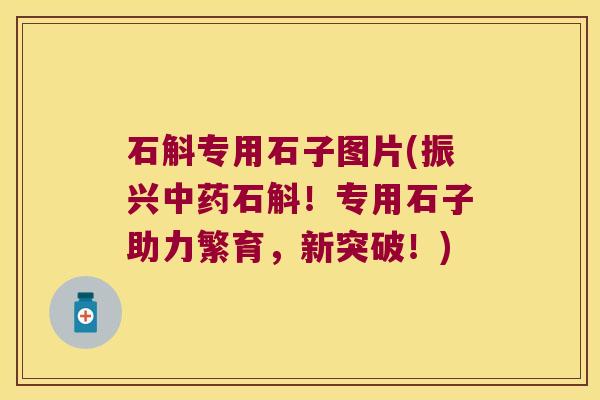 石斛专用石子图片(振兴石斛！专用石子助力繁育，新突破！)