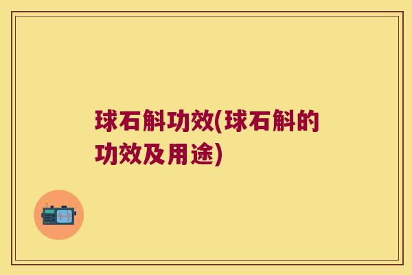 球石斛功效(球石斛的功效及用途)