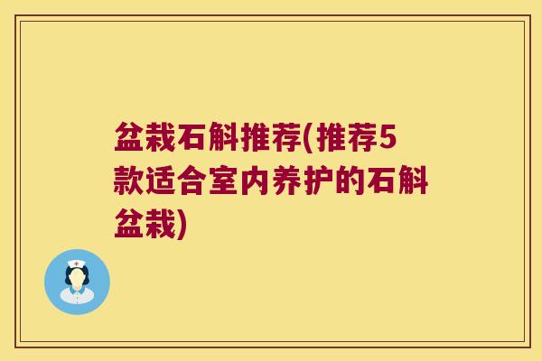 盆栽石斛推荐(推荐5款适合室内养护的石斛盆栽)