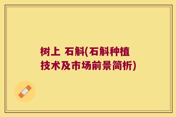 树上 石斛(石斛种植技术及市场前景简析)